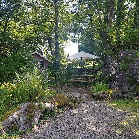 Apartmán Hollybanks Moycullen Exteriér fotografie