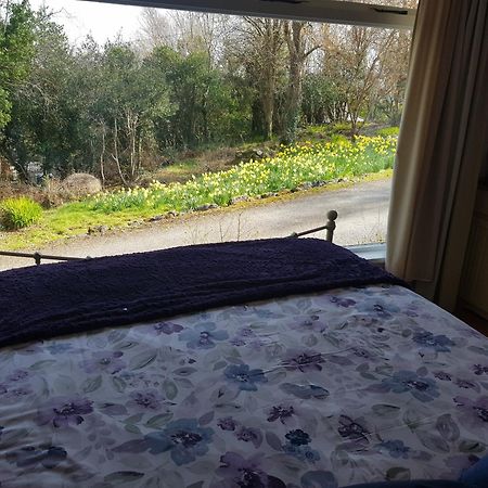 Apartmán Hollybanks Moycullen Pokoj fotografie
