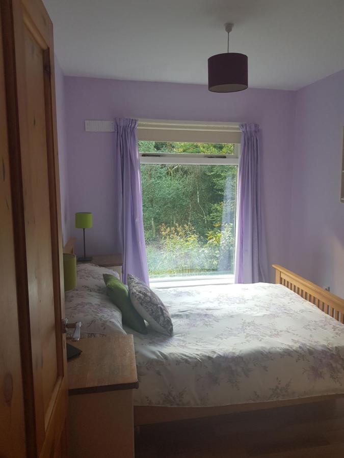 Apartmán Hollybanks Moycullen Exteriér fotografie