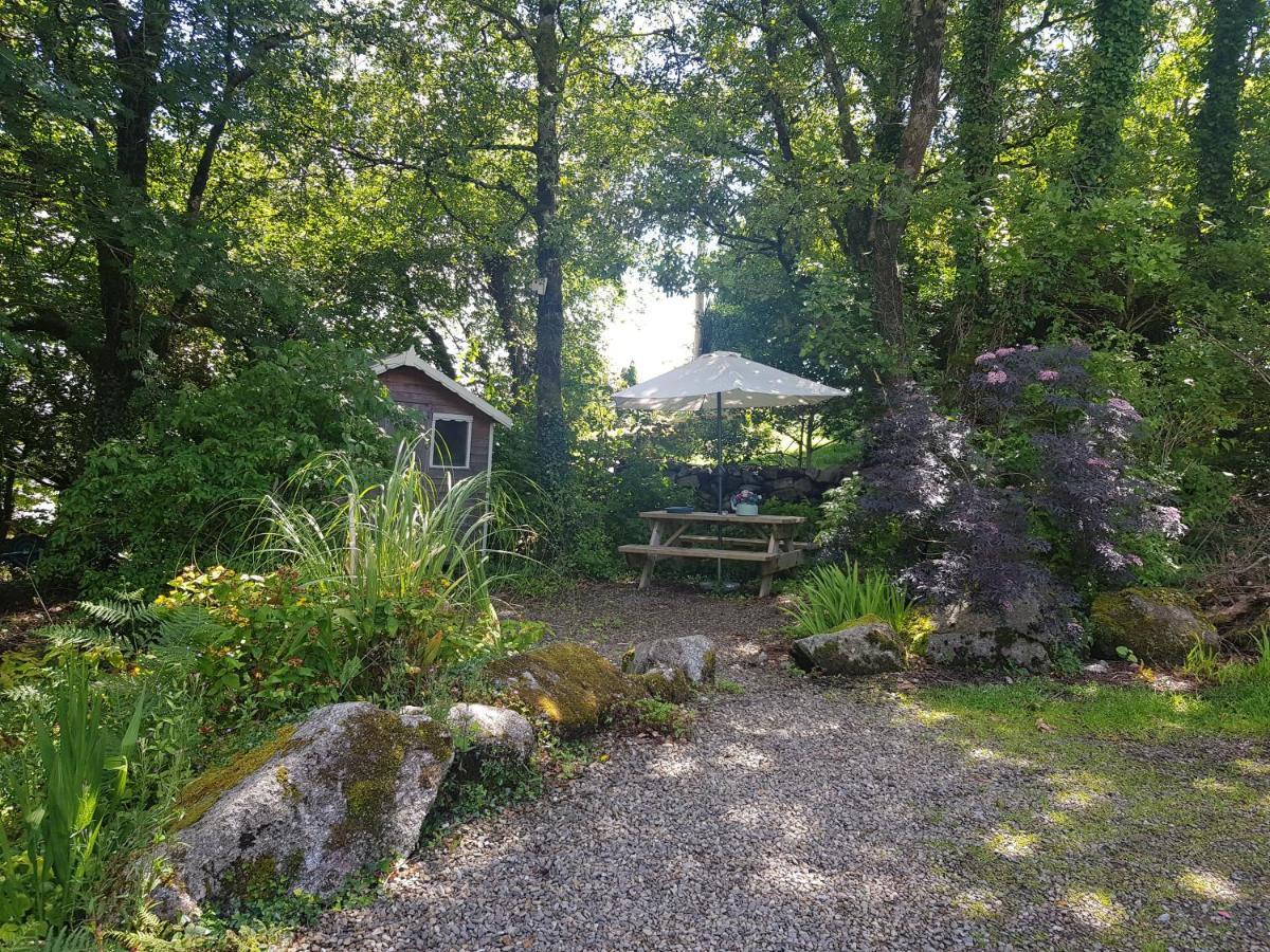 Apartmán Hollybanks Moycullen Exteriér fotografie