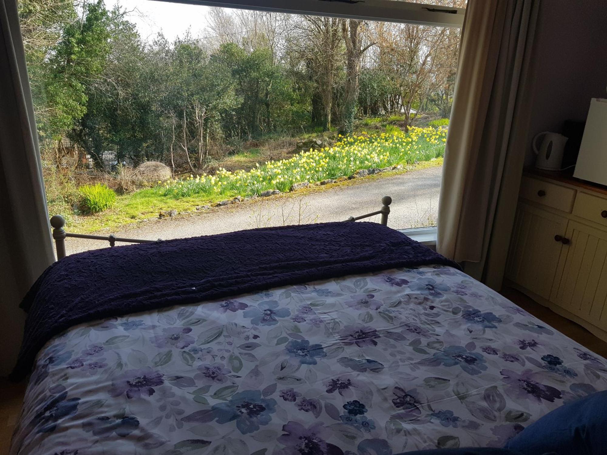 Apartmán Hollybanks Moycullen Pokoj fotografie