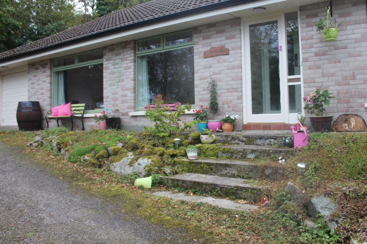 Apartmán Hollybanks Moycullen Exteriér fotografie
